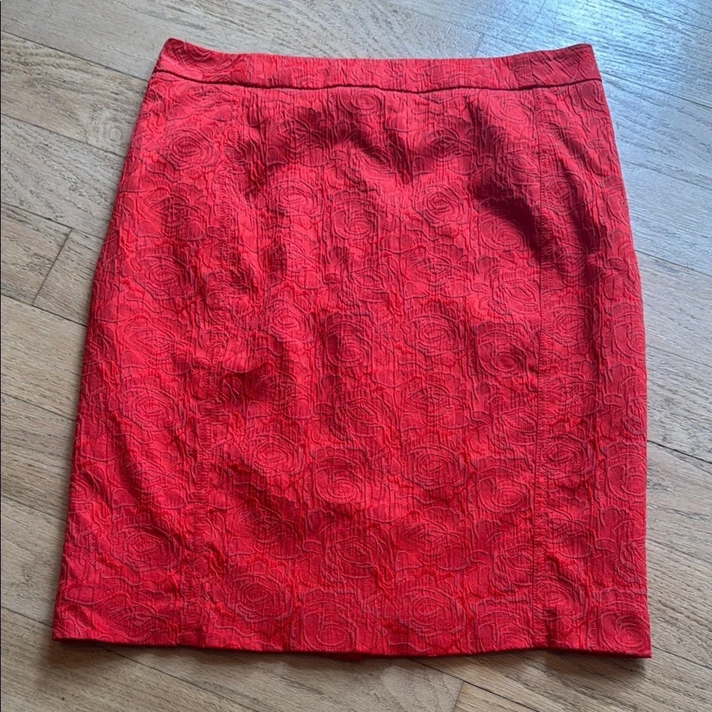 Anthro skirt - Vanessa Virginia